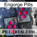 Engorge Pills 15